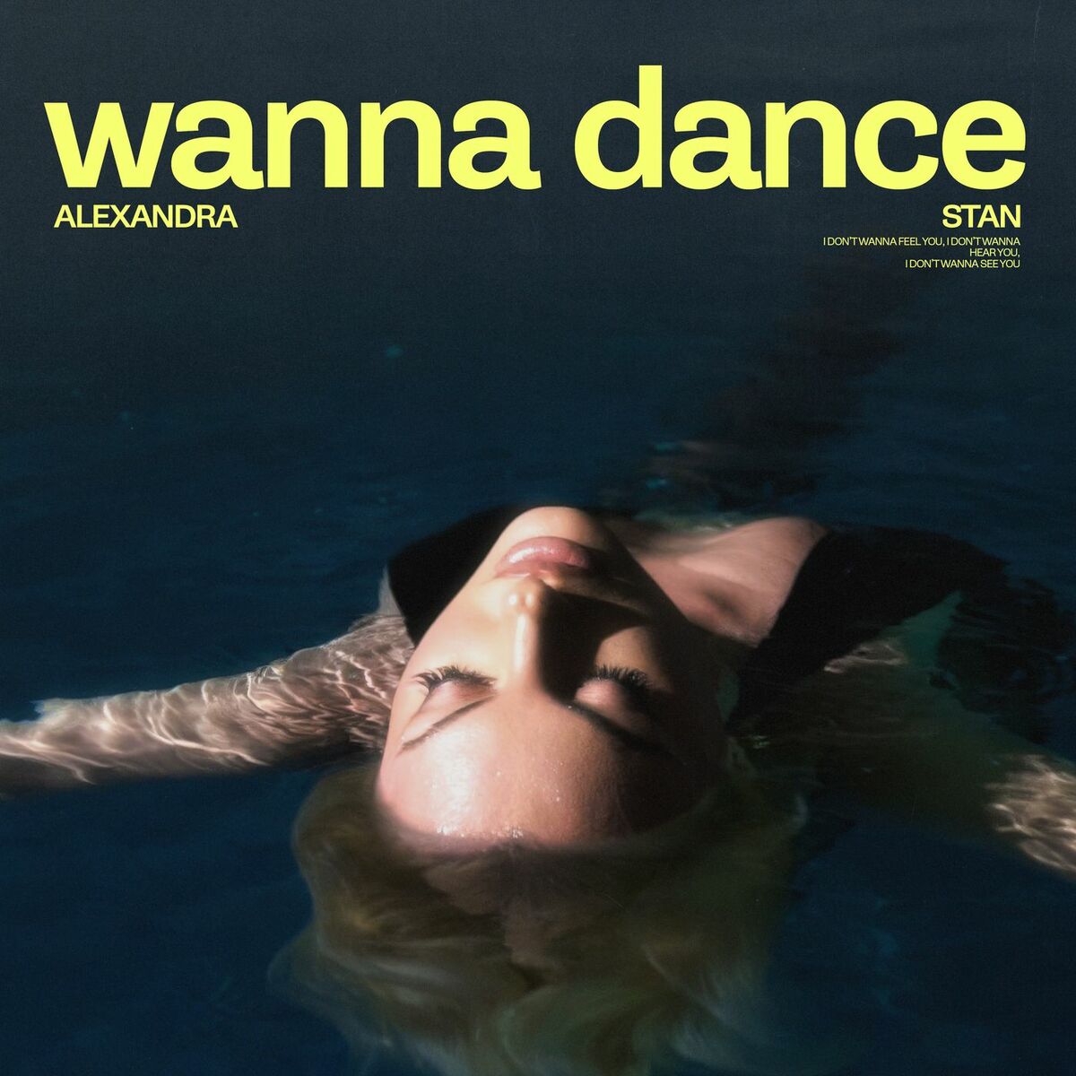 Album cover of Wanna Dance