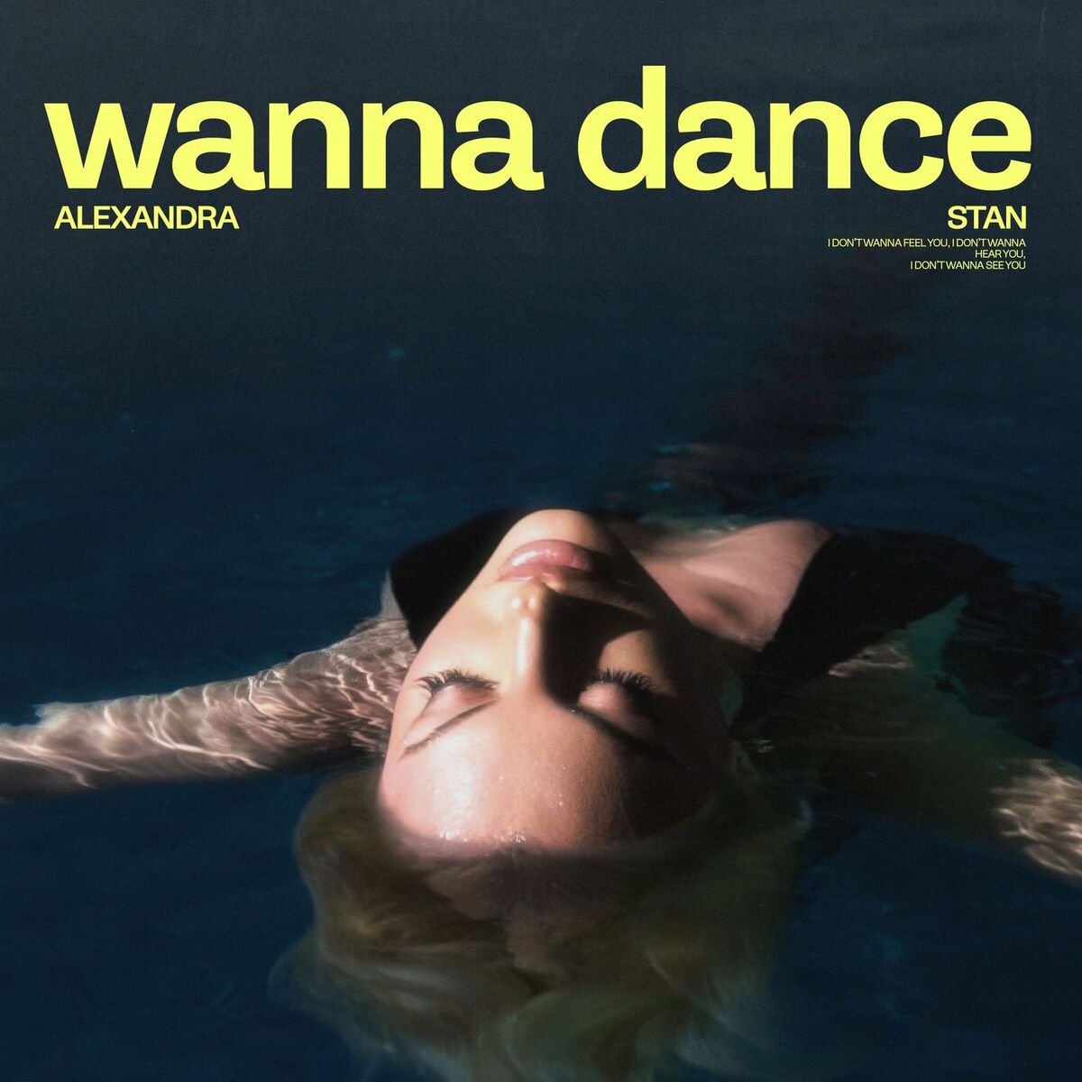 Album cover of Wanna Dance