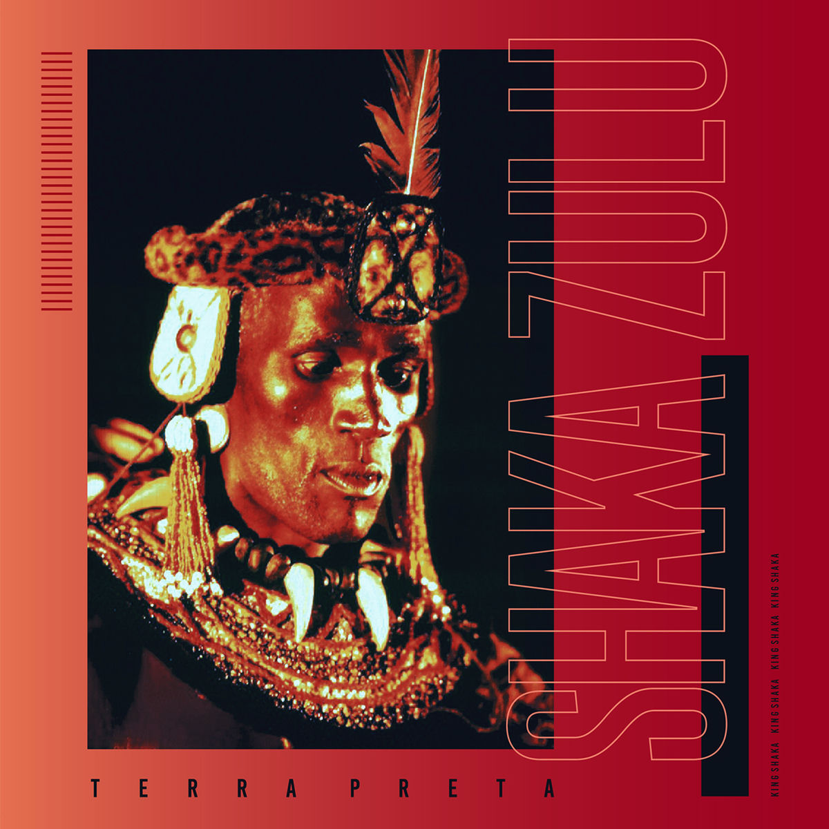 Album cover of Shaka Zulu
