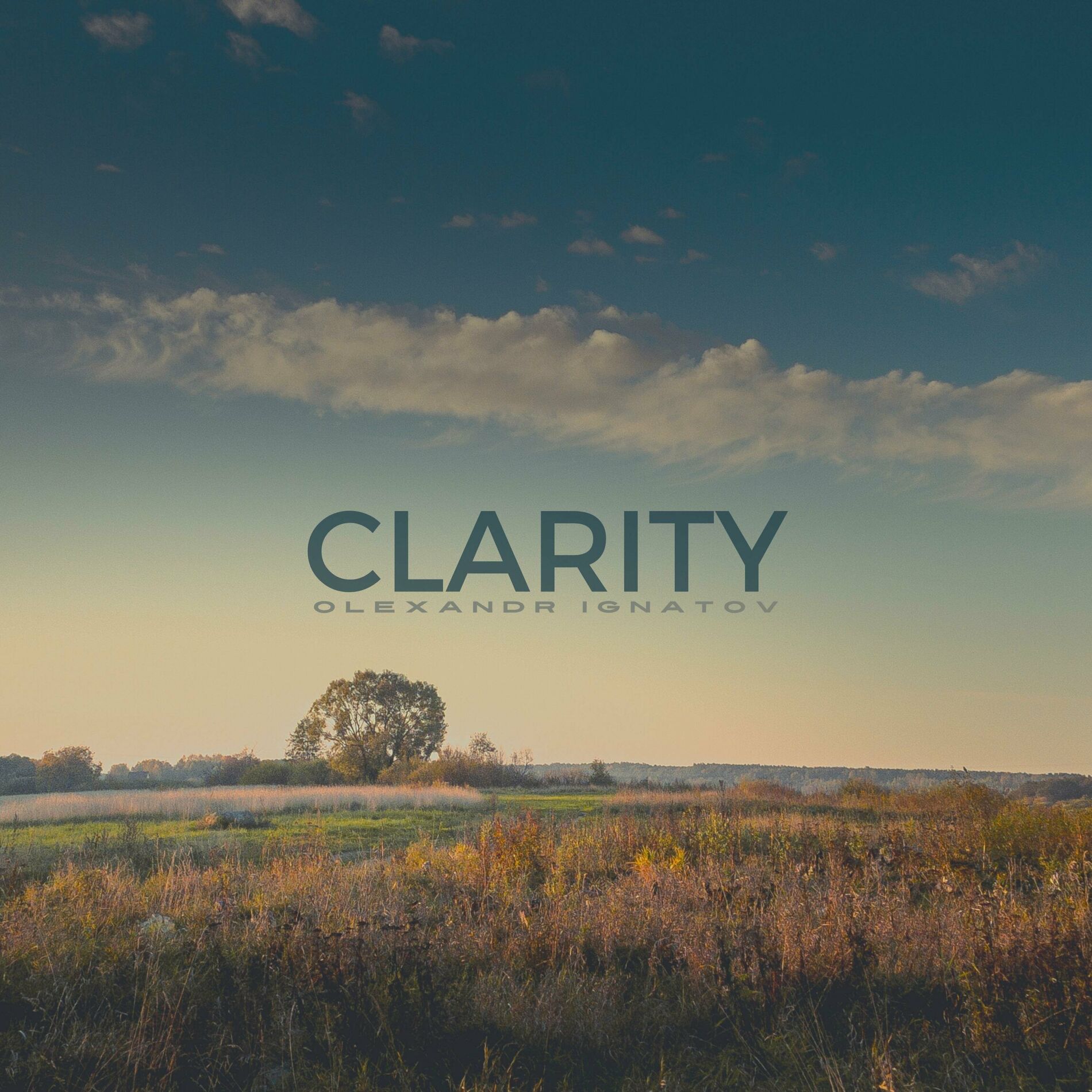 Album cover of Clarity