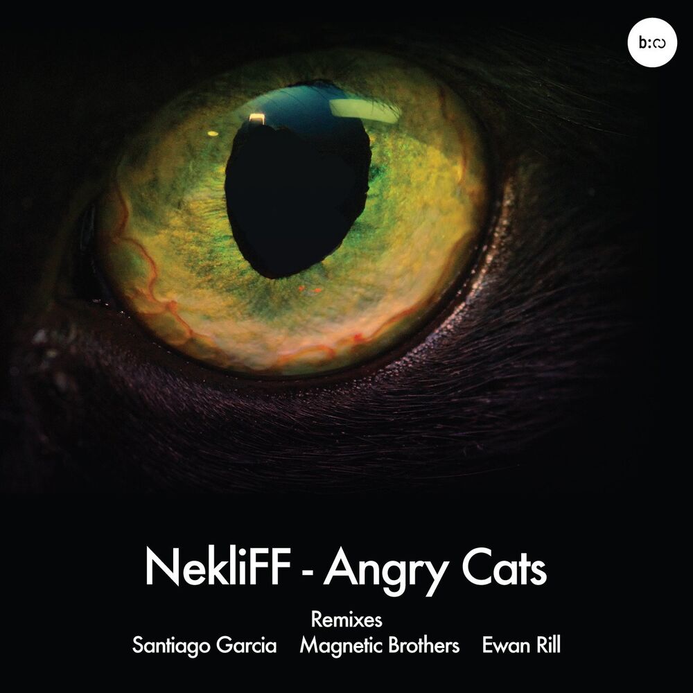 Picture of Angry Cats