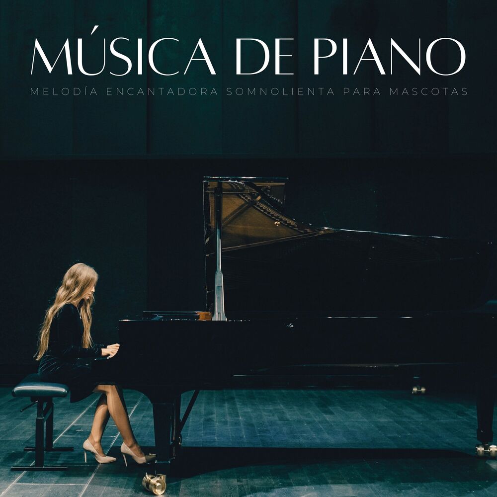 Picture of Música De Piano: Melodía Encantadora Somnolienta Para Mascotas