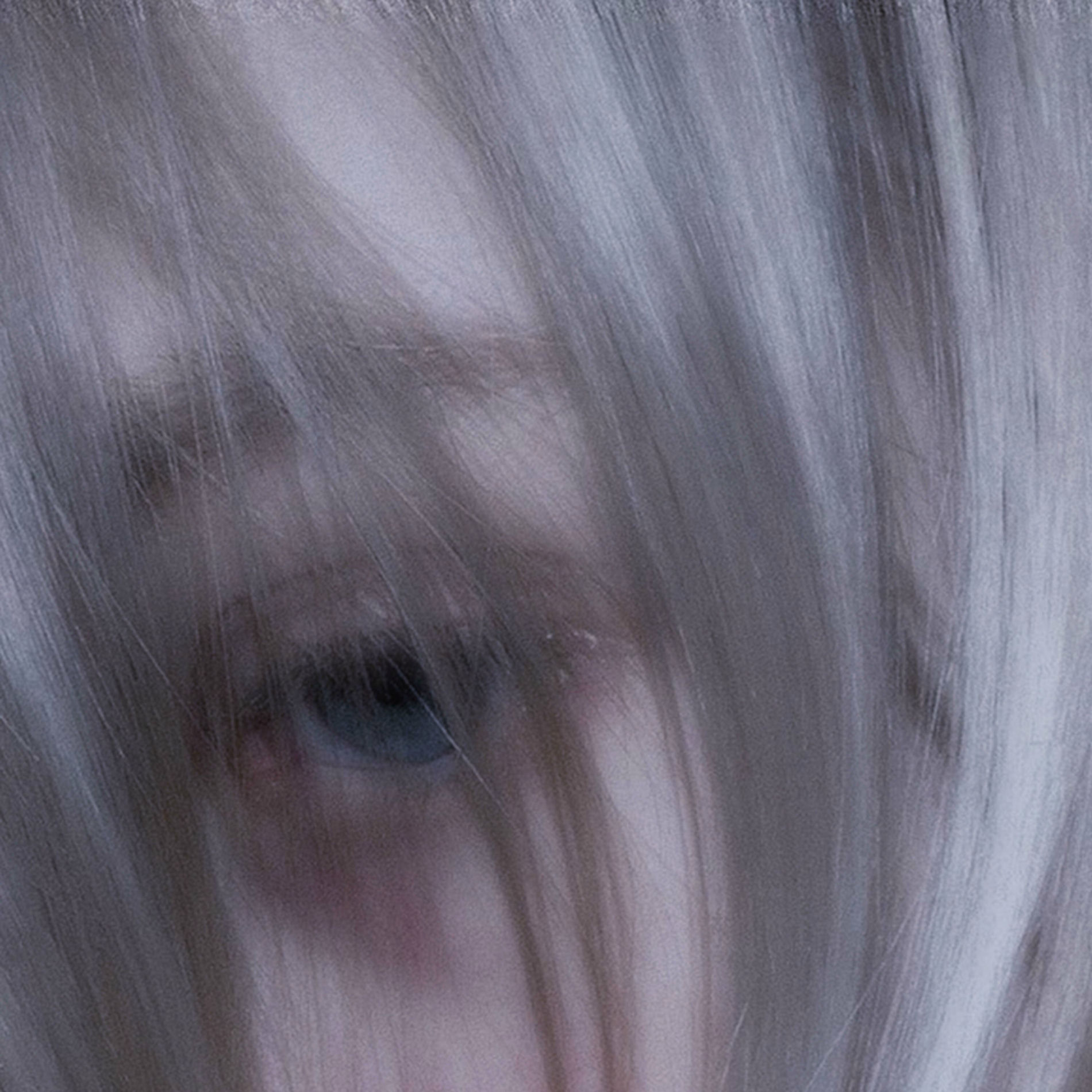 Album cover of Blush