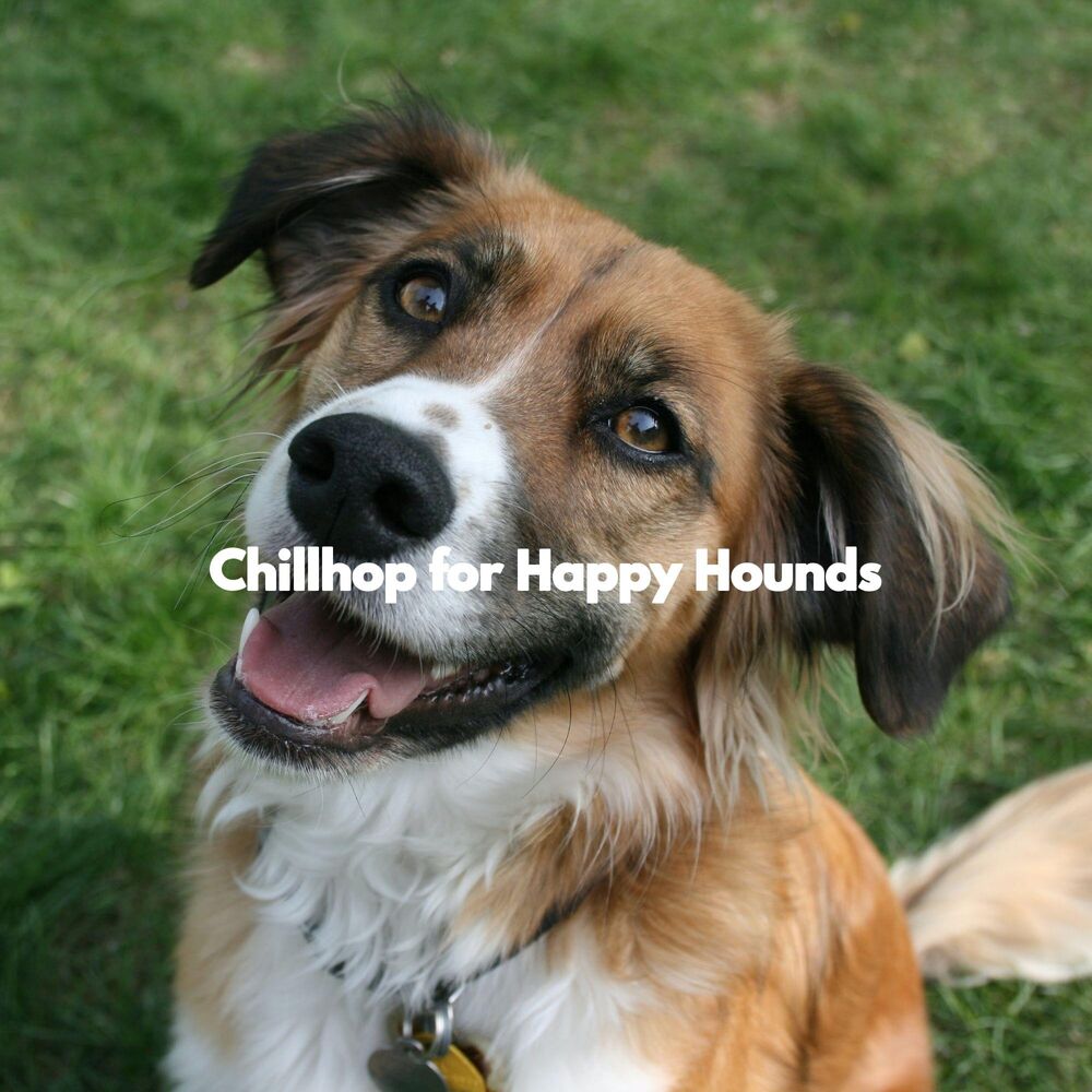 Picture of Chillhop for Happy Hounds