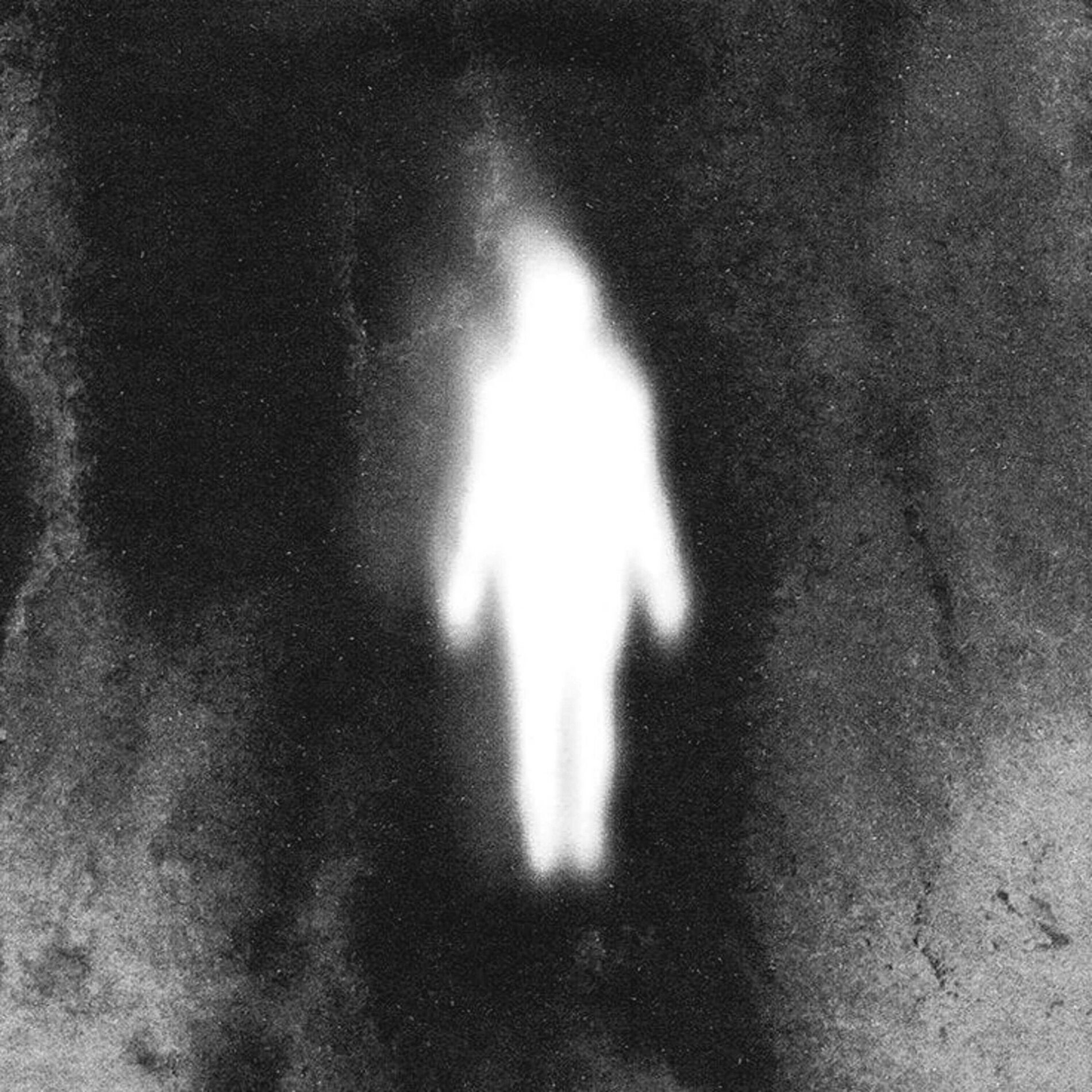 Album cover of I'm Not Human