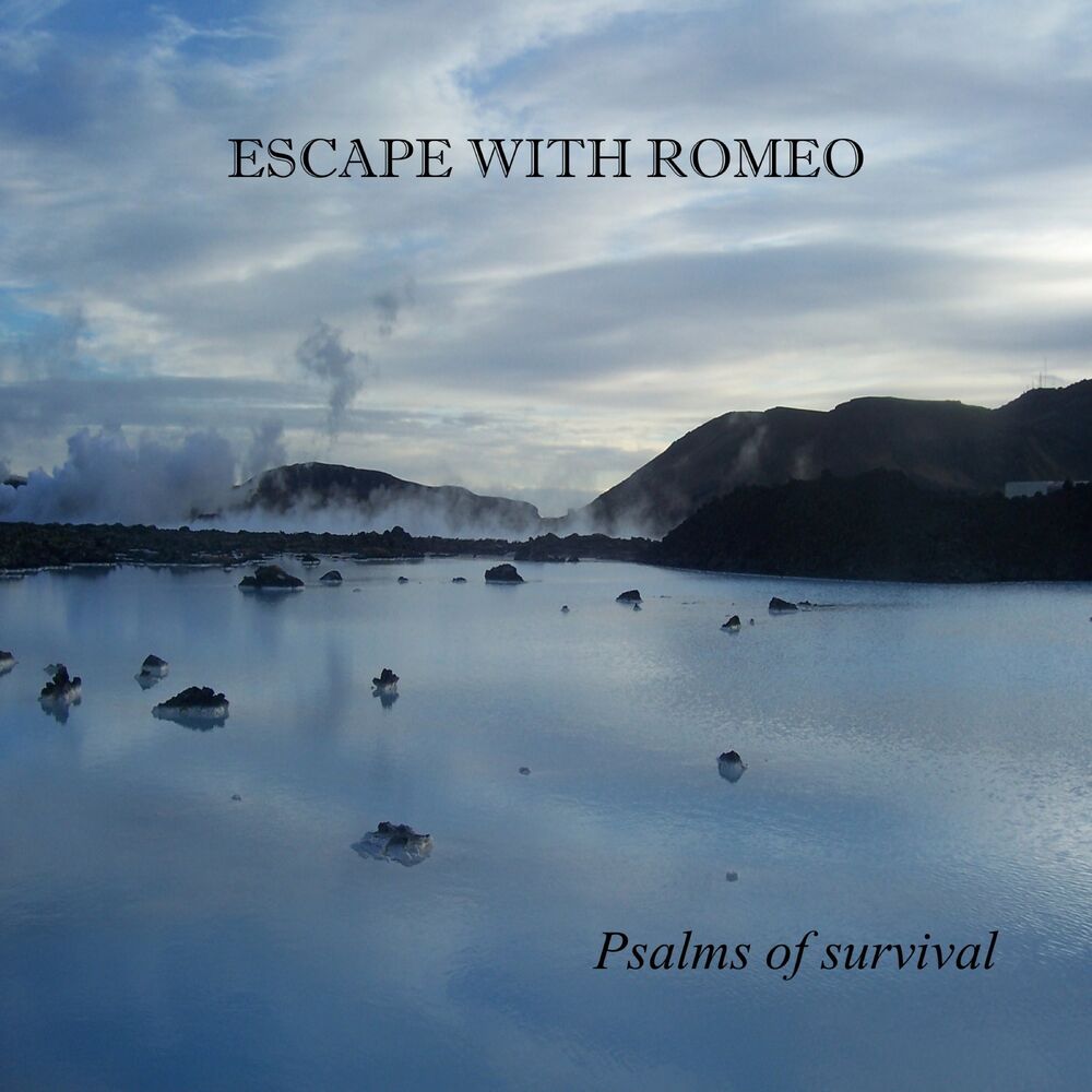 Picture of Psalms of Survival