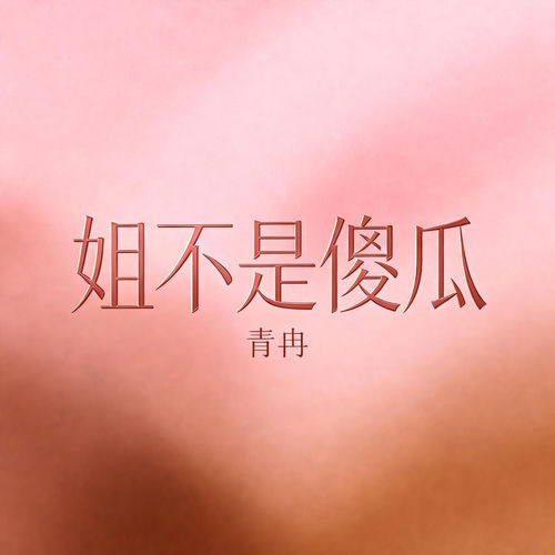 姐不是傻瓜 (DJ版)