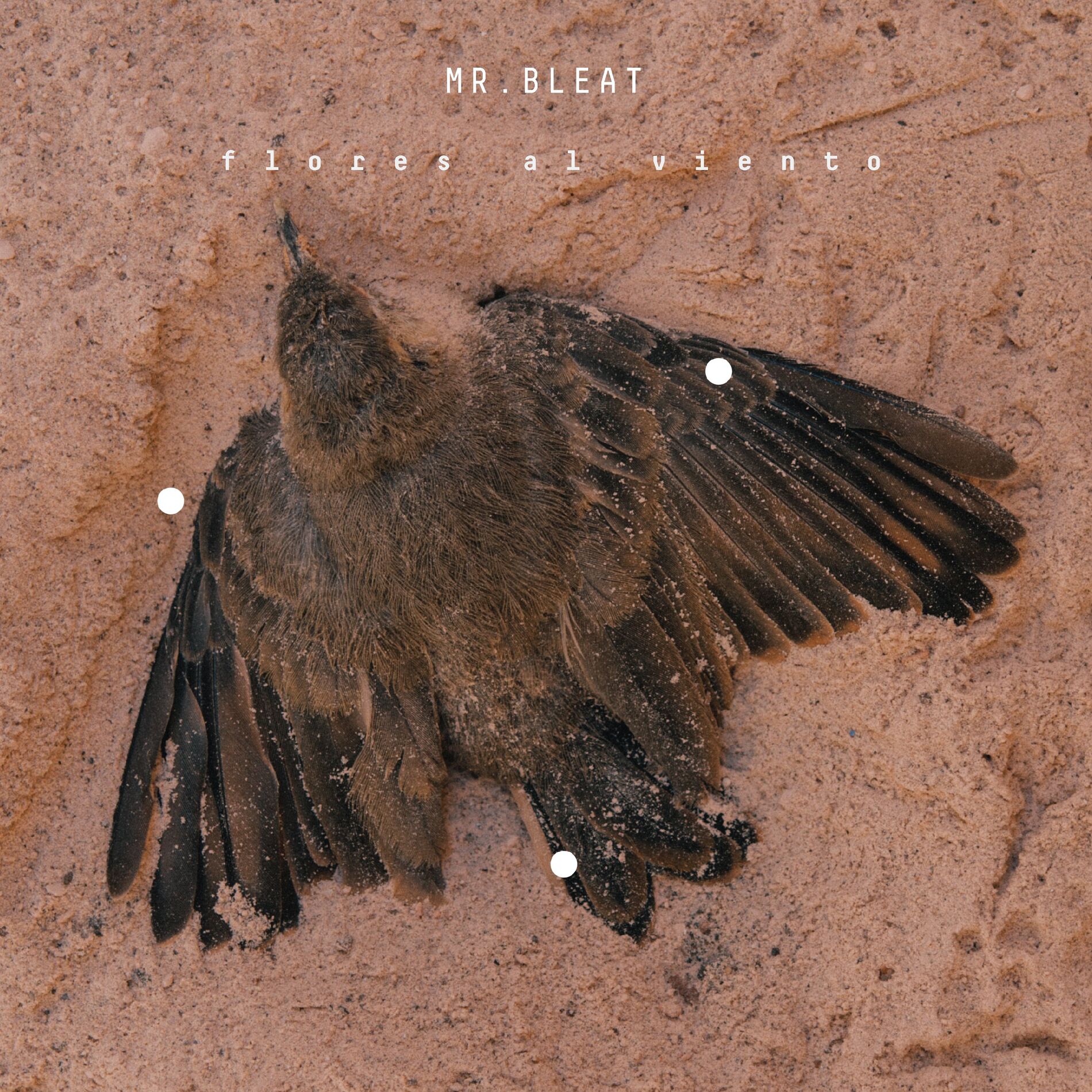 Album cover of Flores al Viento