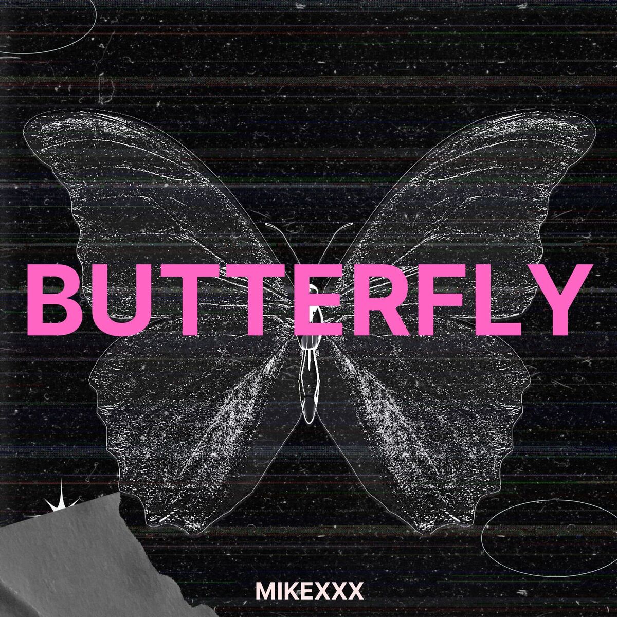 Album cover of Butterfly