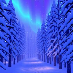 Cover of Lost in a Low Bit Snow Trail