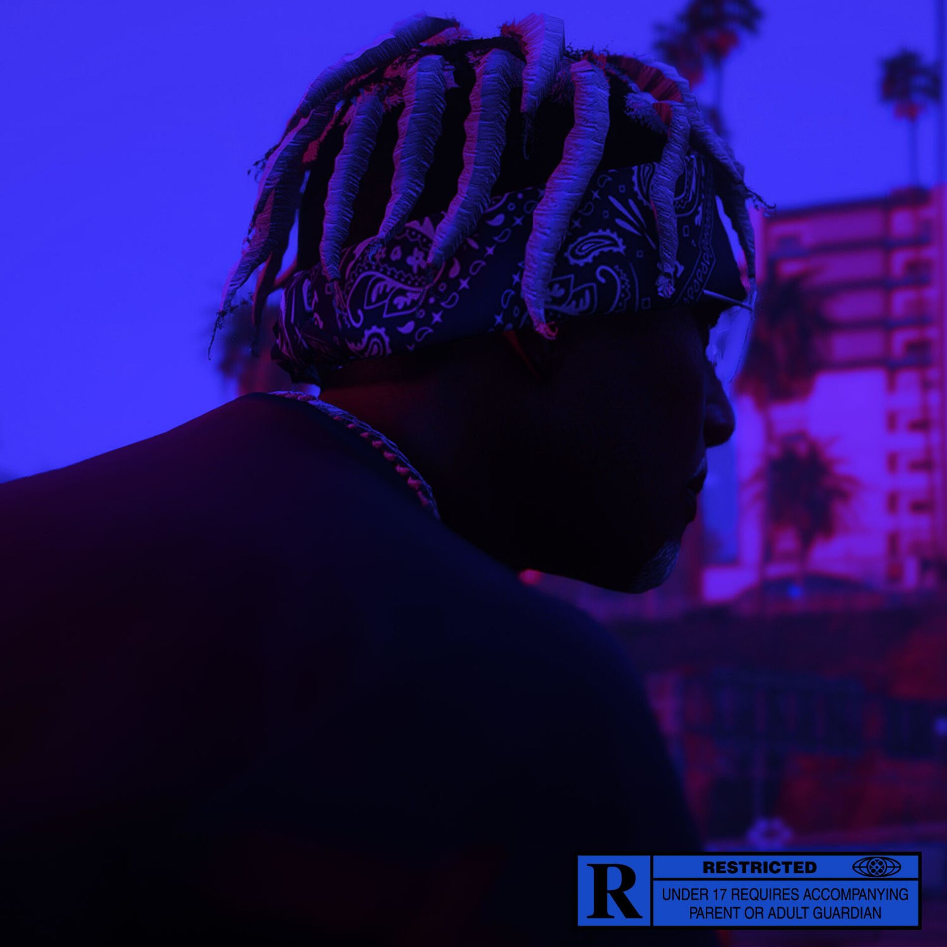 Album cover of Willy