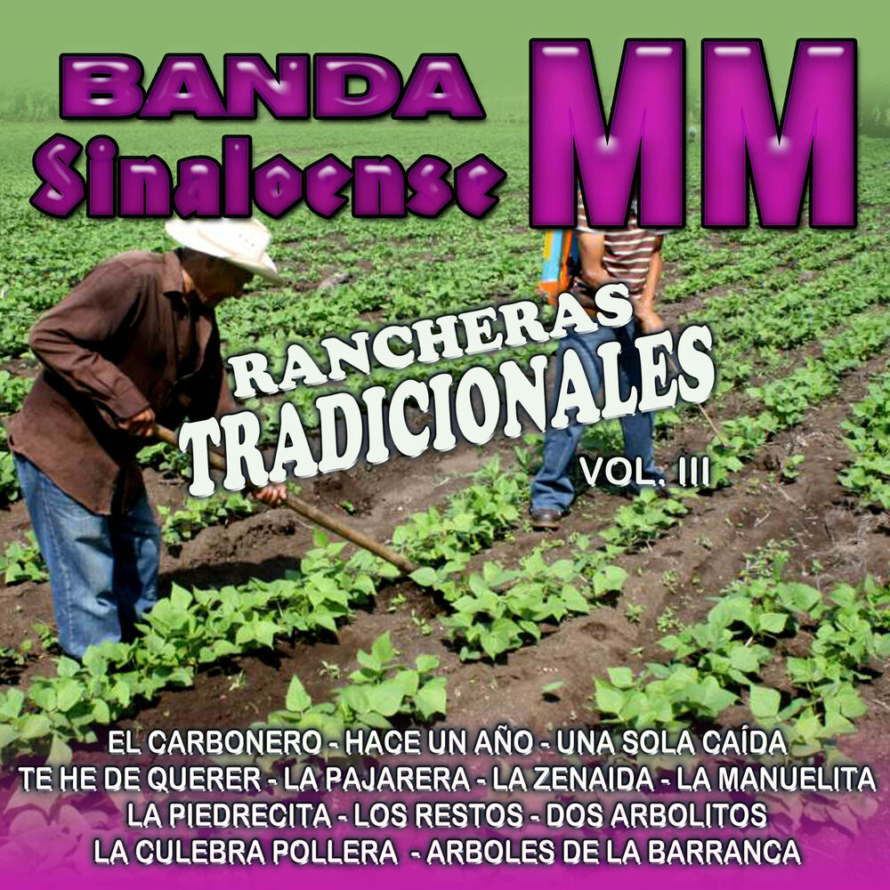 Picture of Rancheras Tradicionales, Vol. 3