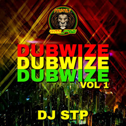 Cover of Dubwize Dubwize Dubwize Vol 1 by undefined