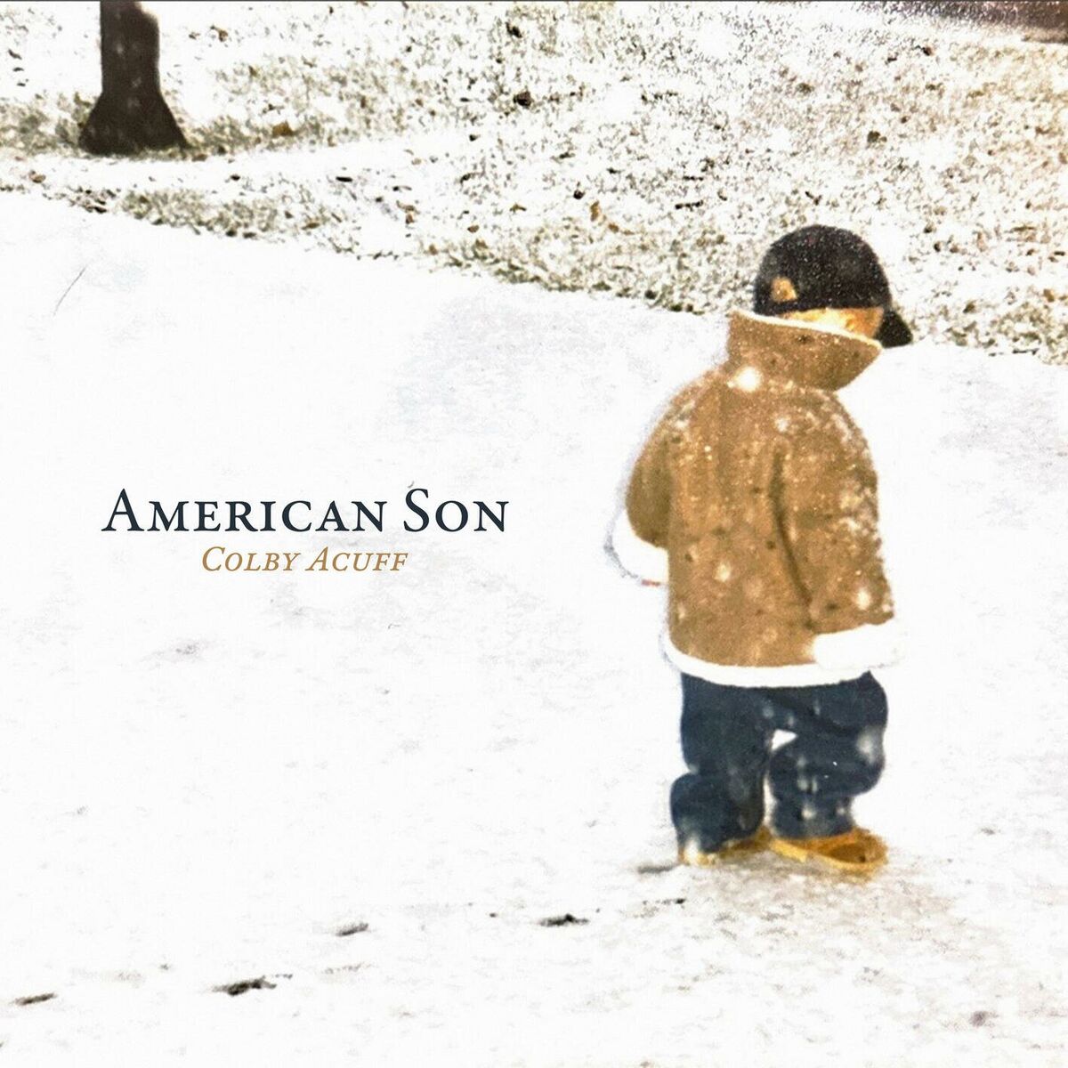 Album cover of Plastic Horses