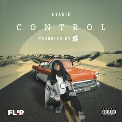 Cover of Control