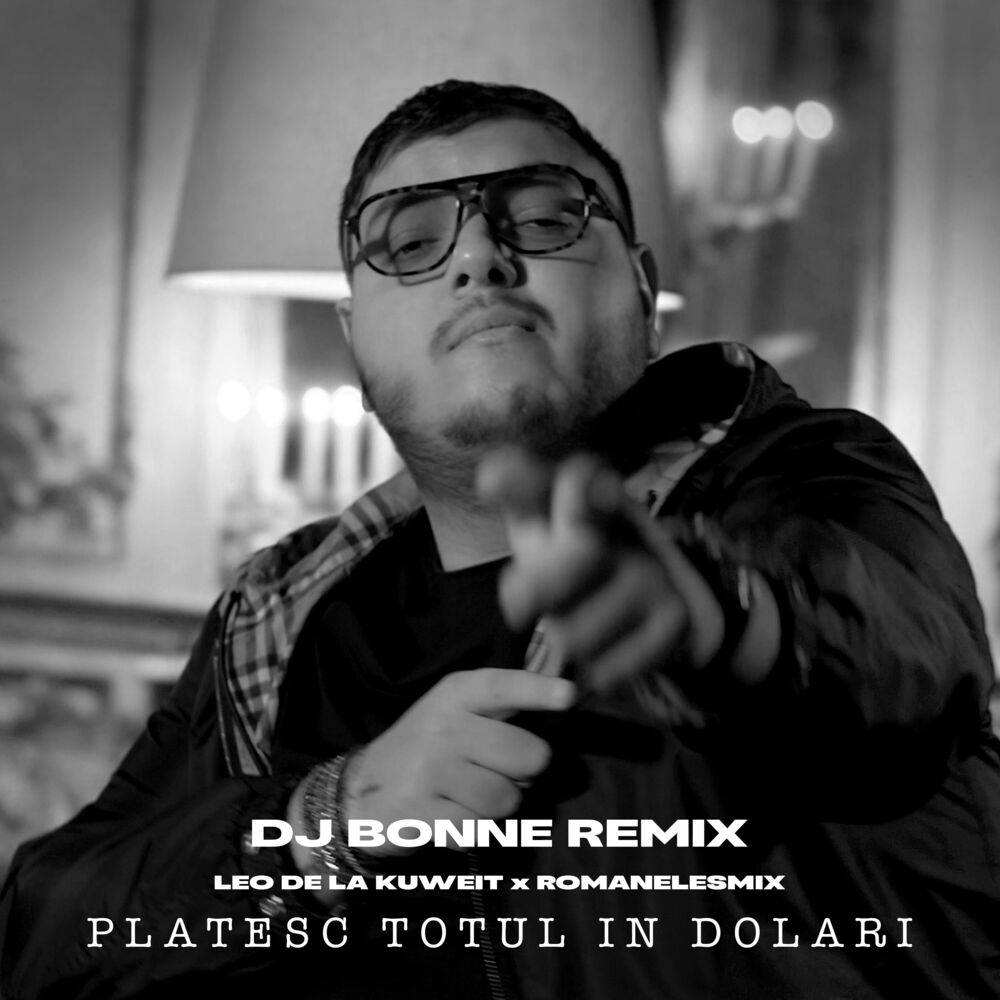 Picture of Platesc totul in dolari (Dj Bonne Remix)