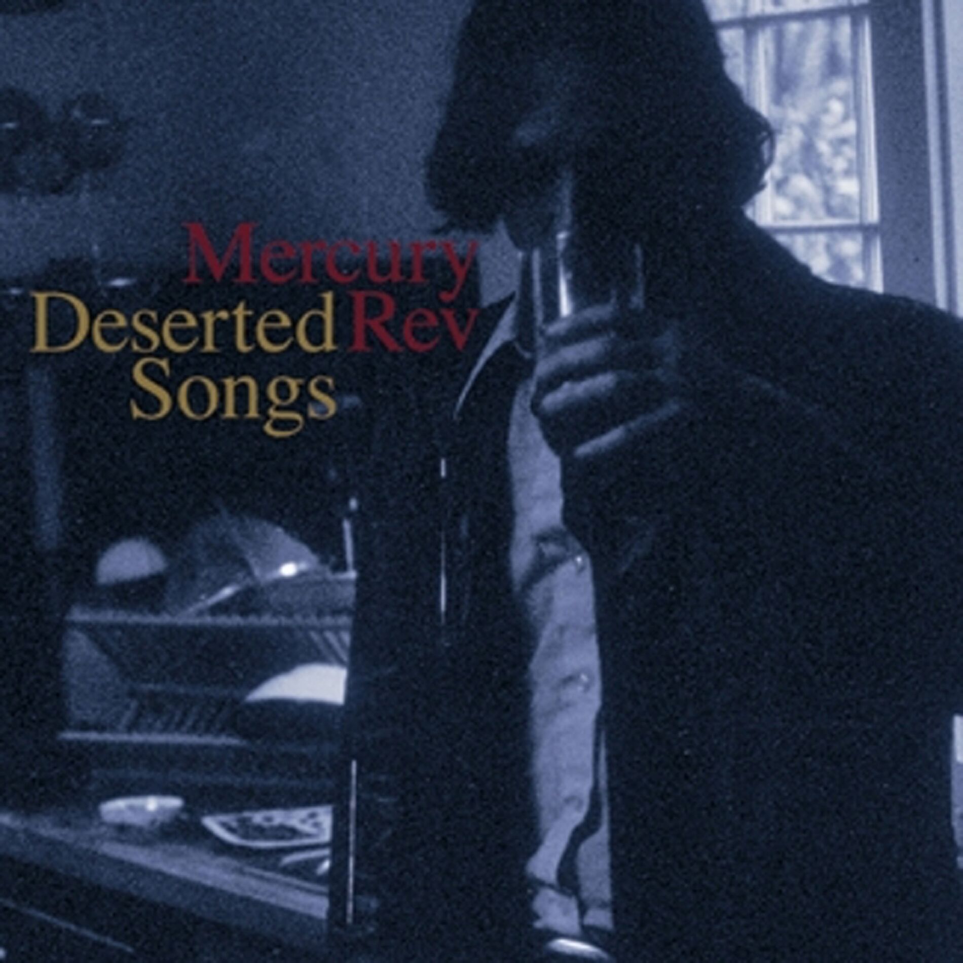 Album cover of Deserted Songs