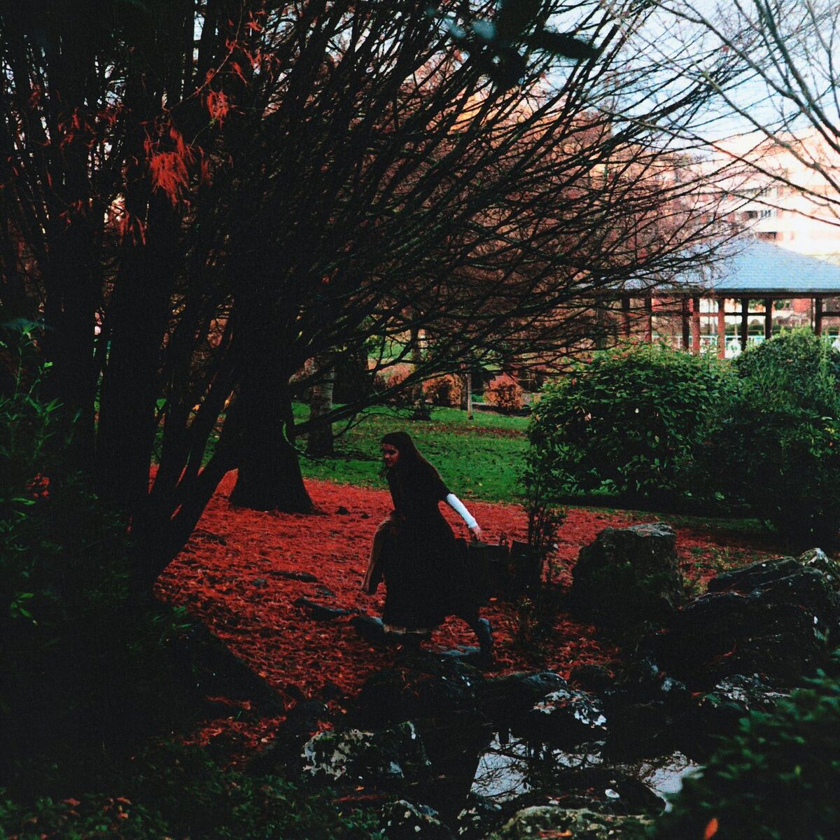 Album cover of Yamaguchi