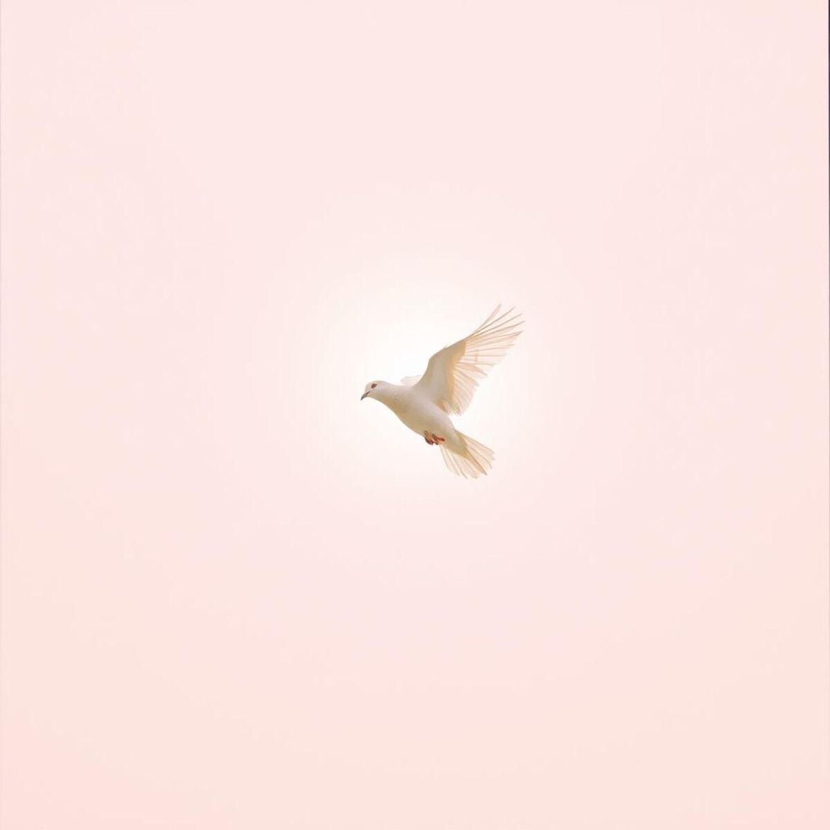 Album cover of Solo Tu Presencia