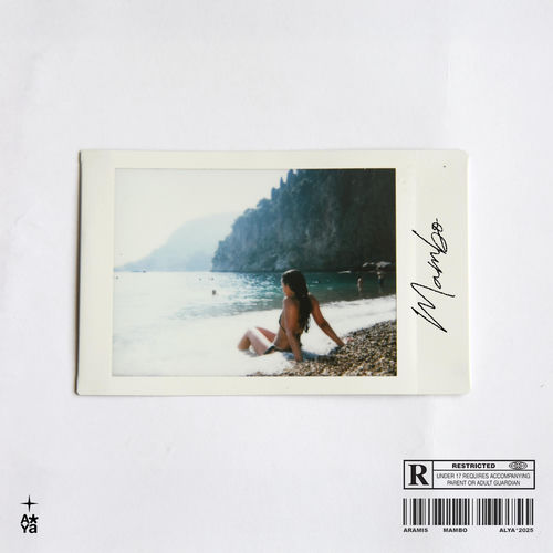 Descargar casamigos - Aramis MP3