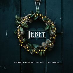 Cover of Christmas (Baby Please Come Home)