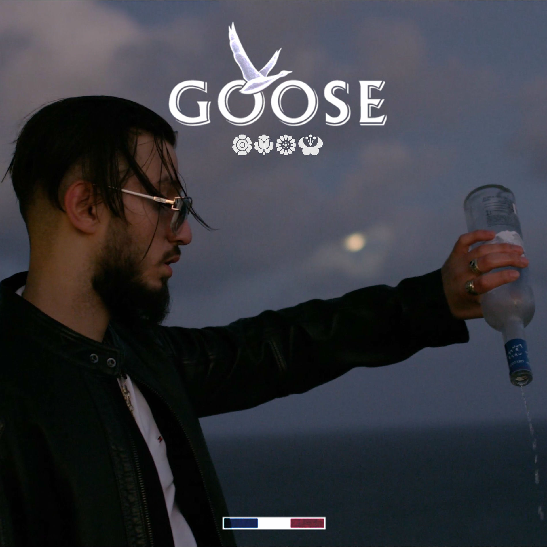 Album cover of Goose