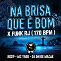 NA BRISA QUE &Eacute; BOM X FUNK RJ 170 BPM (Remix)