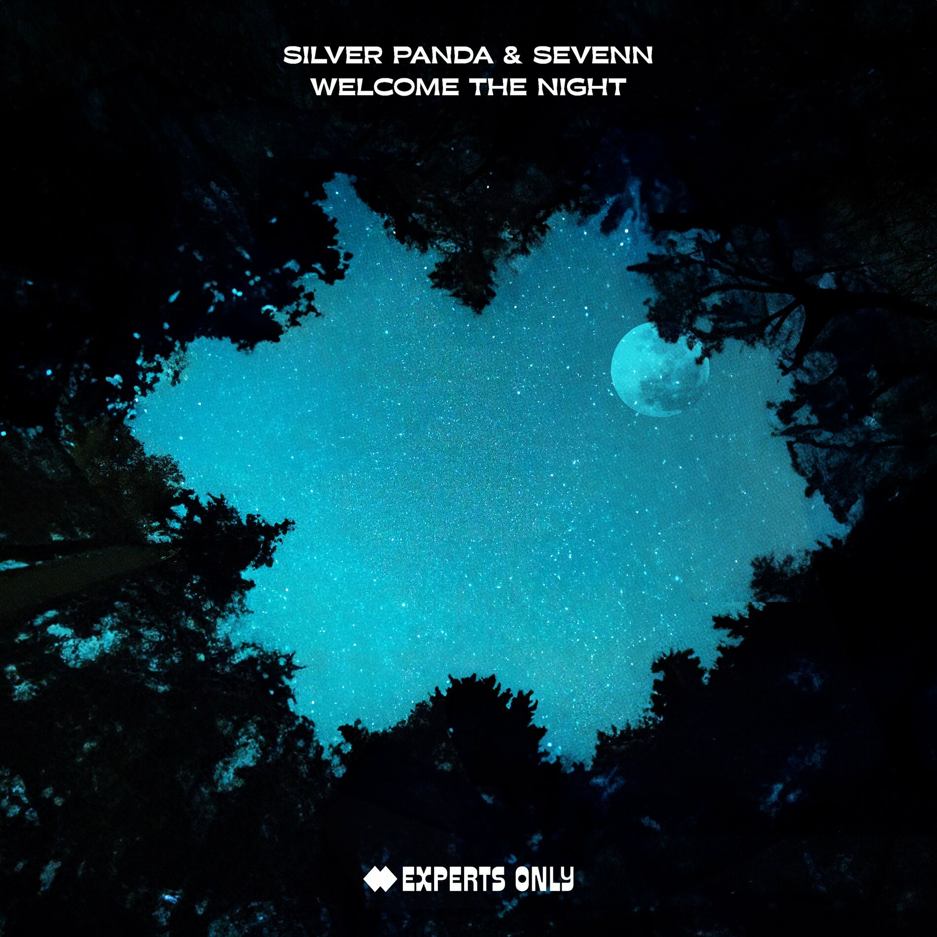 Album cover of Welcome The Night