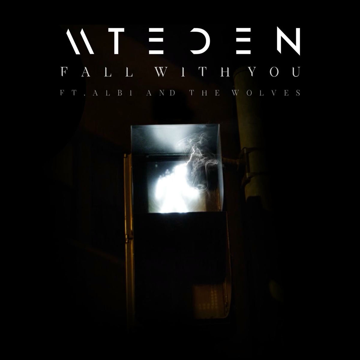 Album cover of Fall With You (feat. Albi & the Wolves)