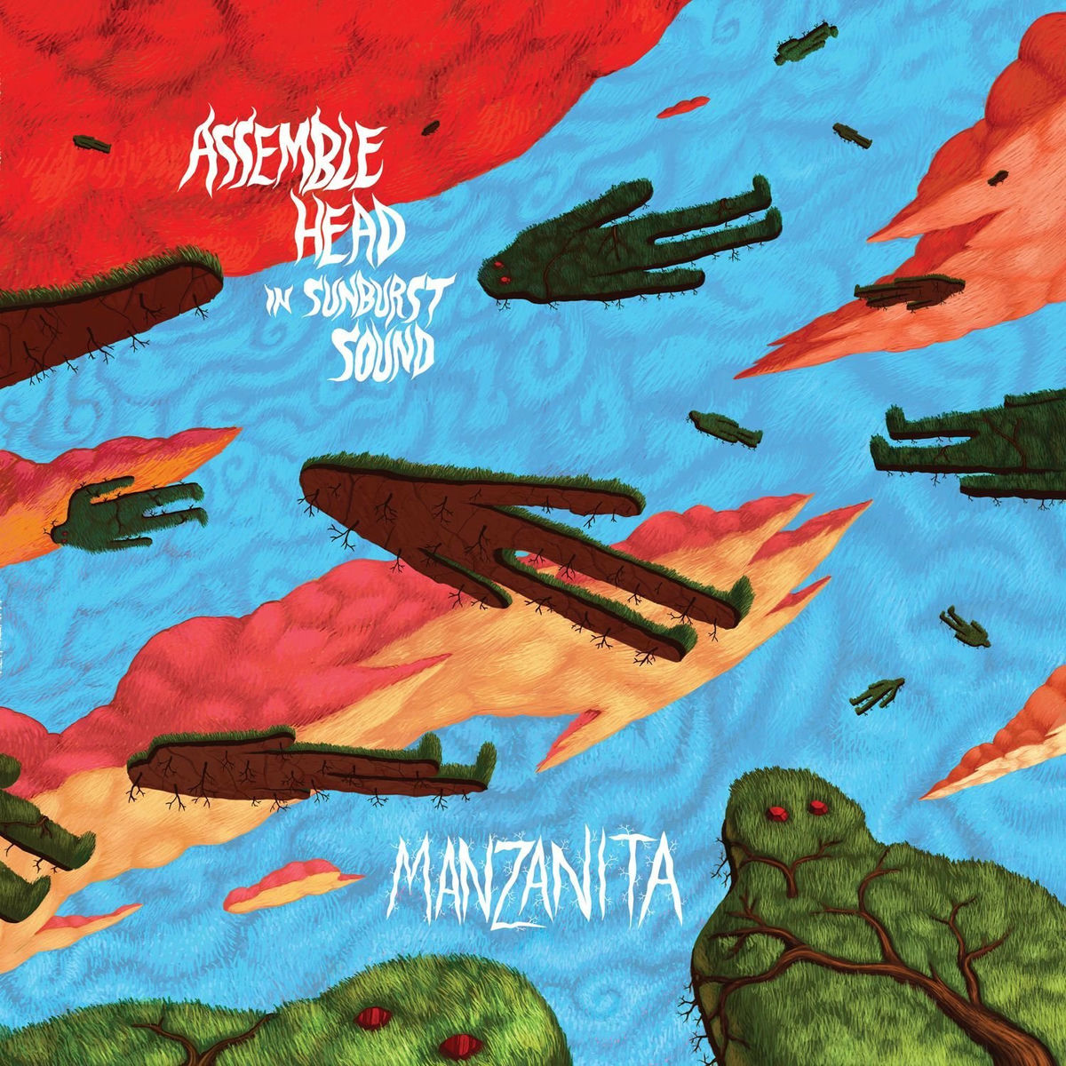 Album cover of Manzanita