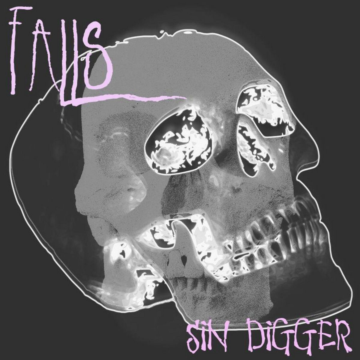 Album cover of Sin Digger