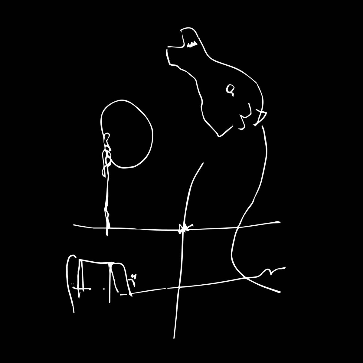Album cover of Caballo Negro
