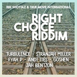 Cover of Right Choice Riddim