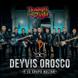 Cover of Domingos de Fiesta