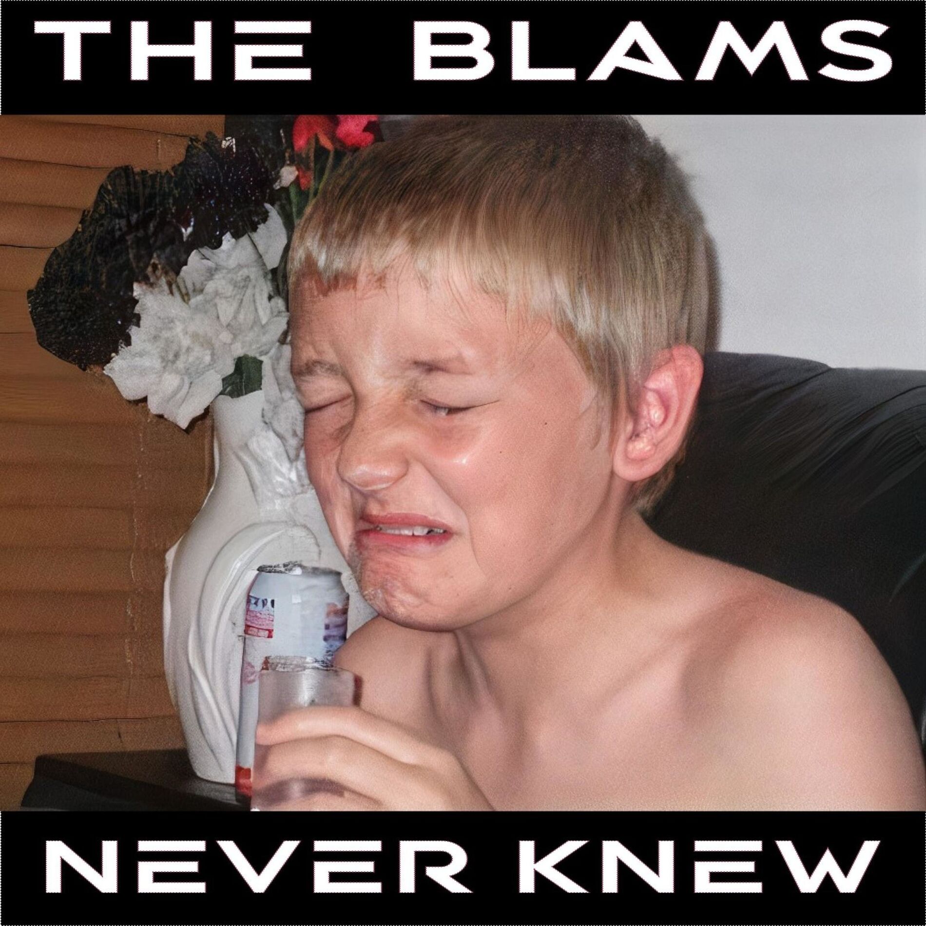Album cover of Never Knew