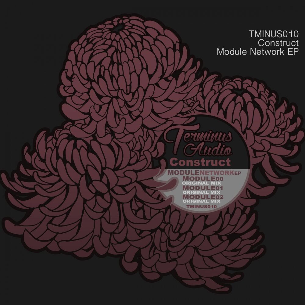 Picture of Module Network EP