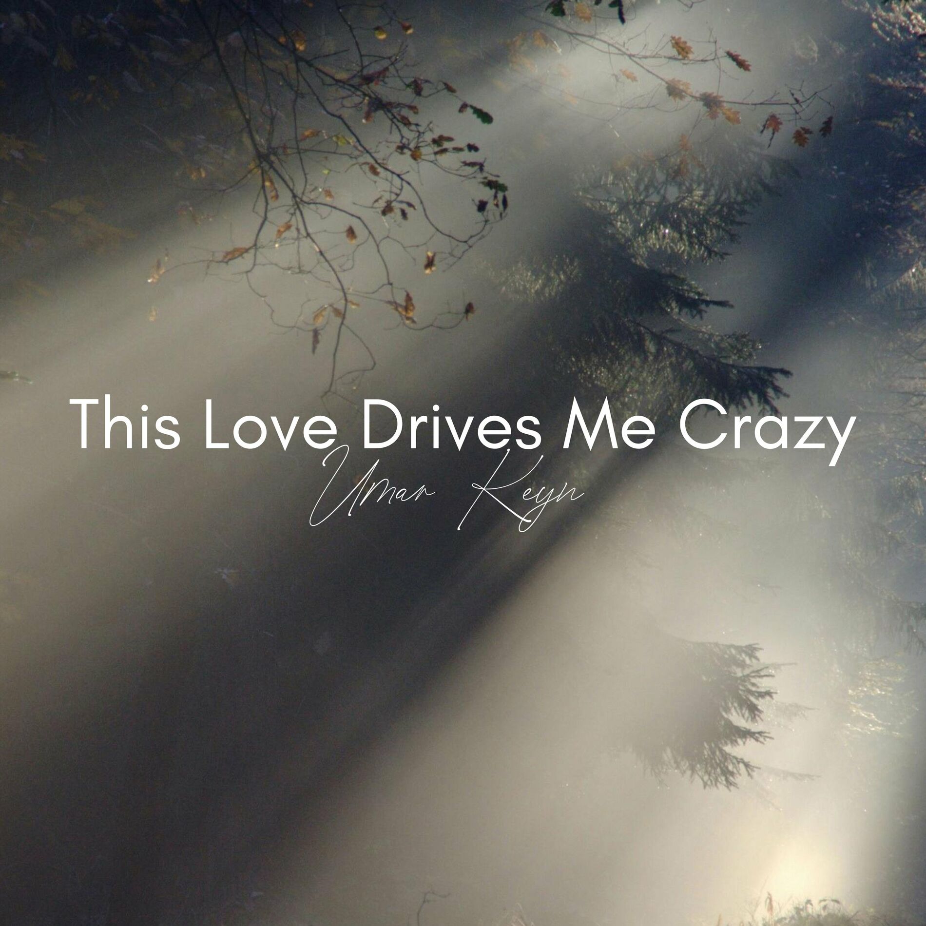Album cover of This Love Drives Me Crazy