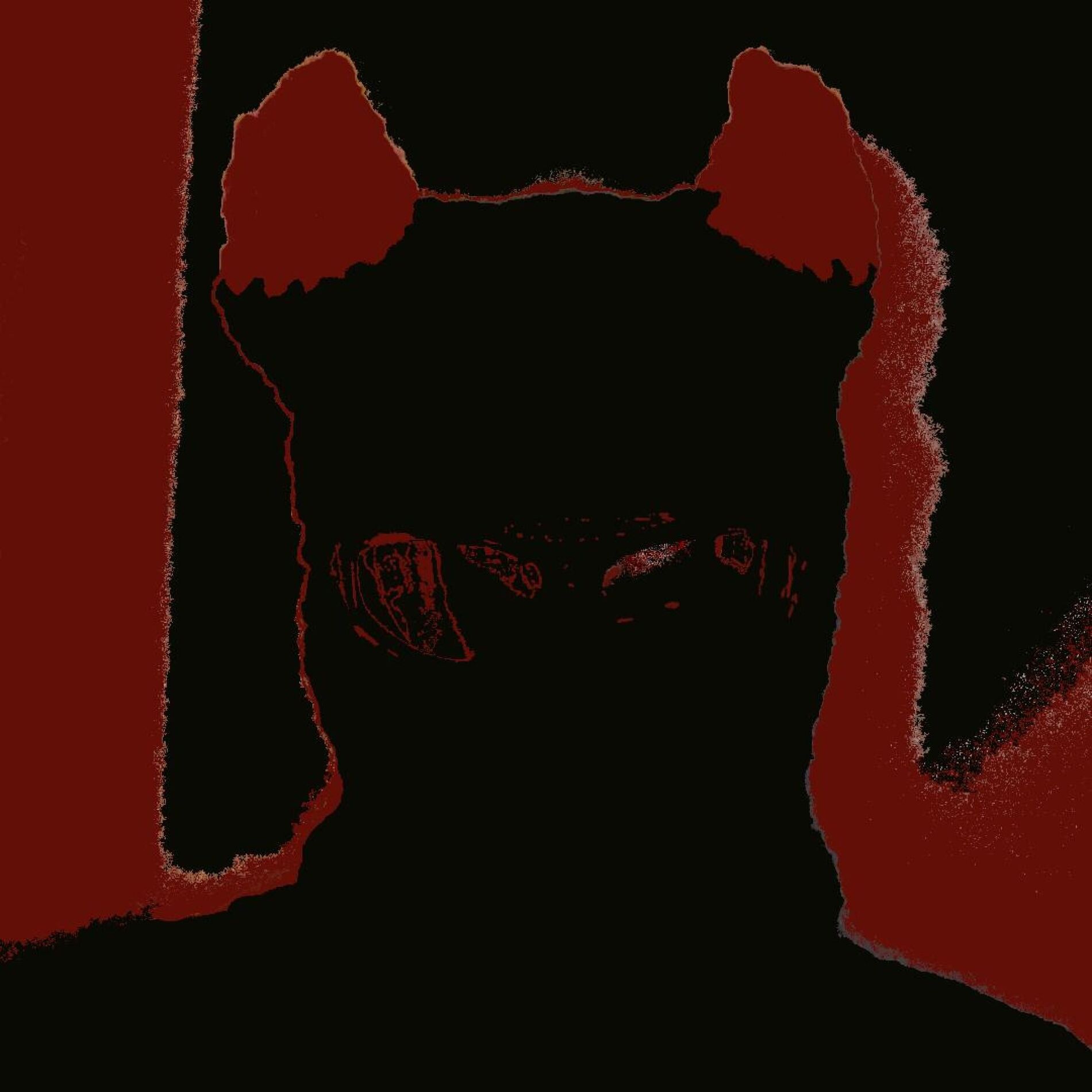 Album cover of 鬼の人生 o n i ' s l i f e