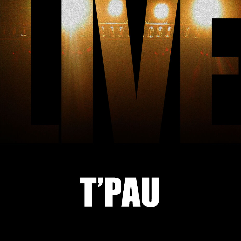 Picture of T'pau Live