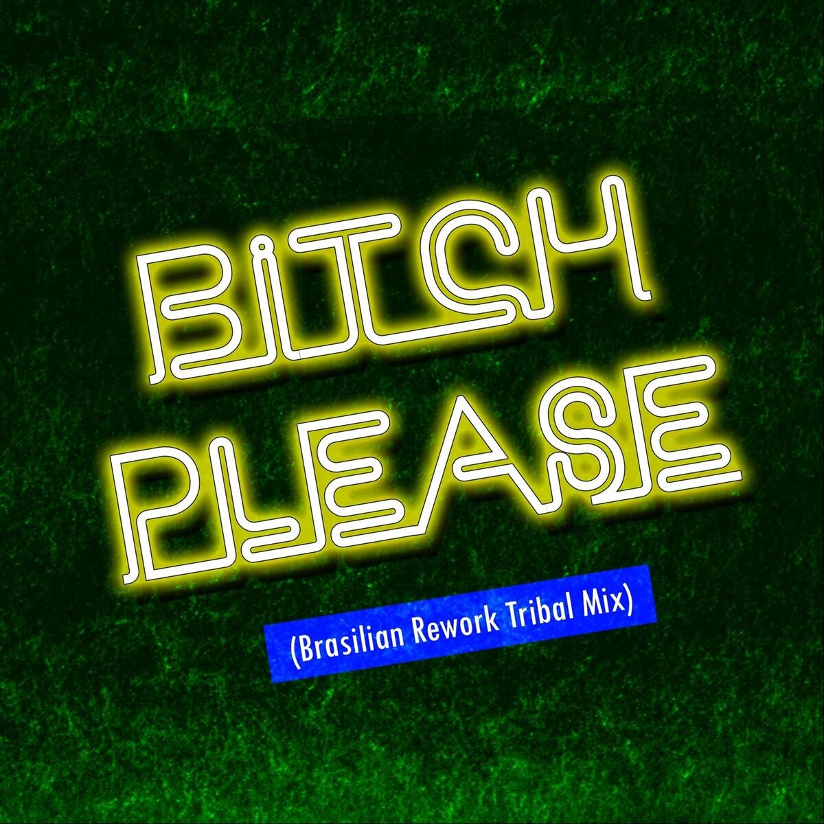 Album cover of Bitch Please (Brasilian Rework Tribal Mix)