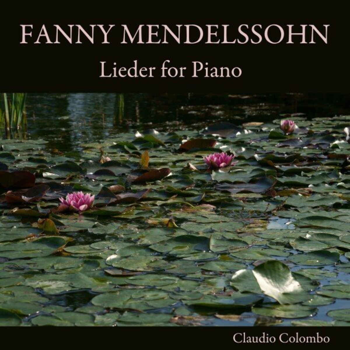 Album cover of Fanny Mendelssohn: Lieder for Piano
