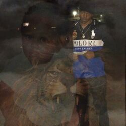 Cover of Life I Live