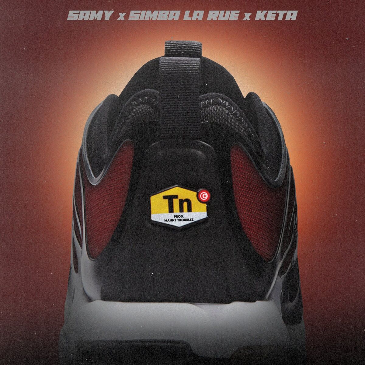 Album cover of TN