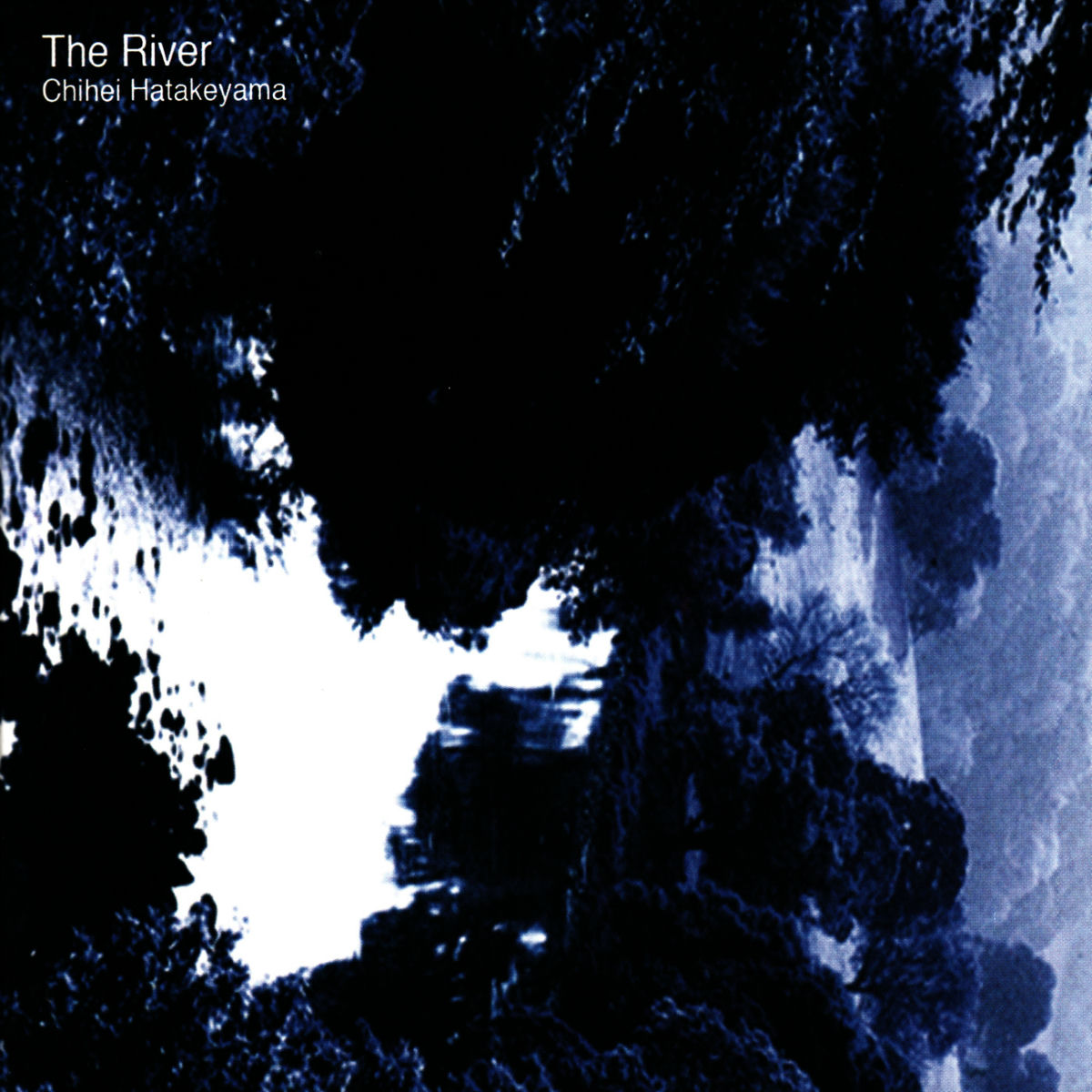 Album cover of The River