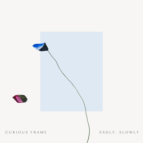 Curious Frame sleeve