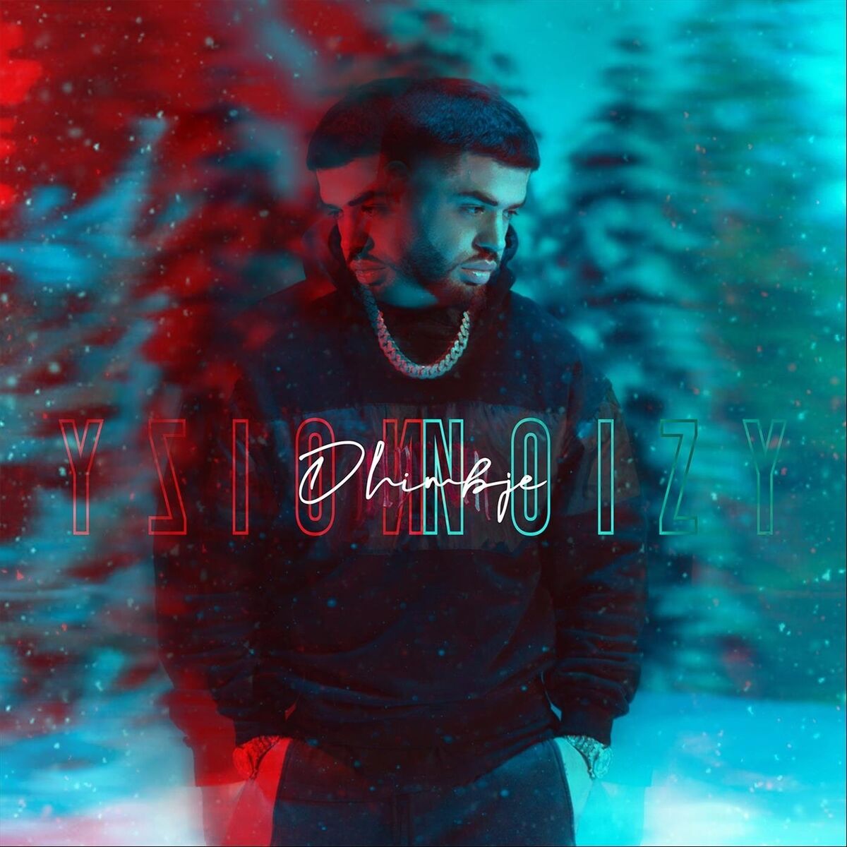 Album cover of Dhimbje