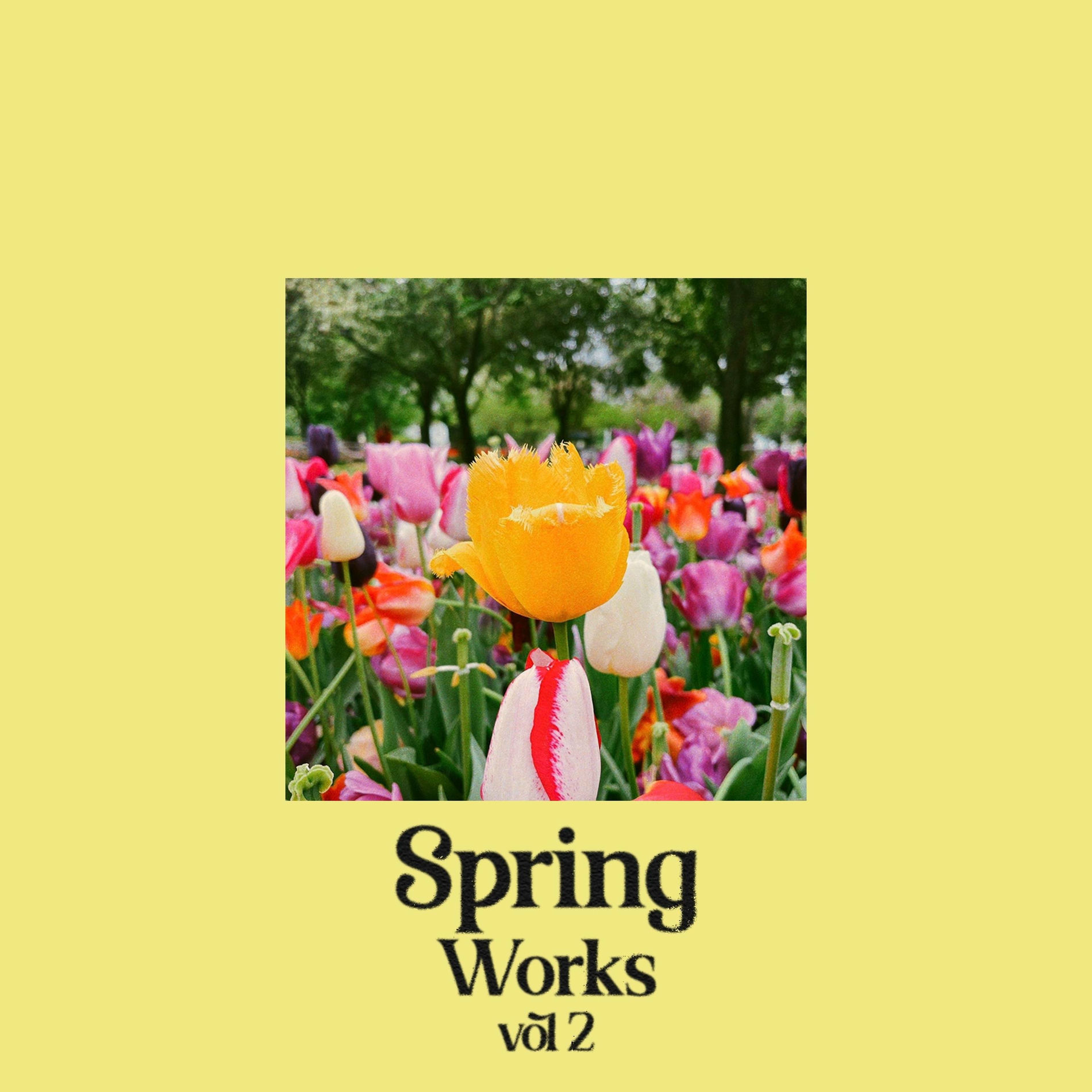 Album cover of Spring Works vol. 2