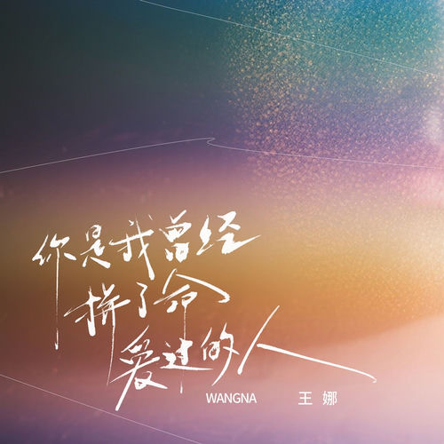 你是我曾经拼了命爱过的人