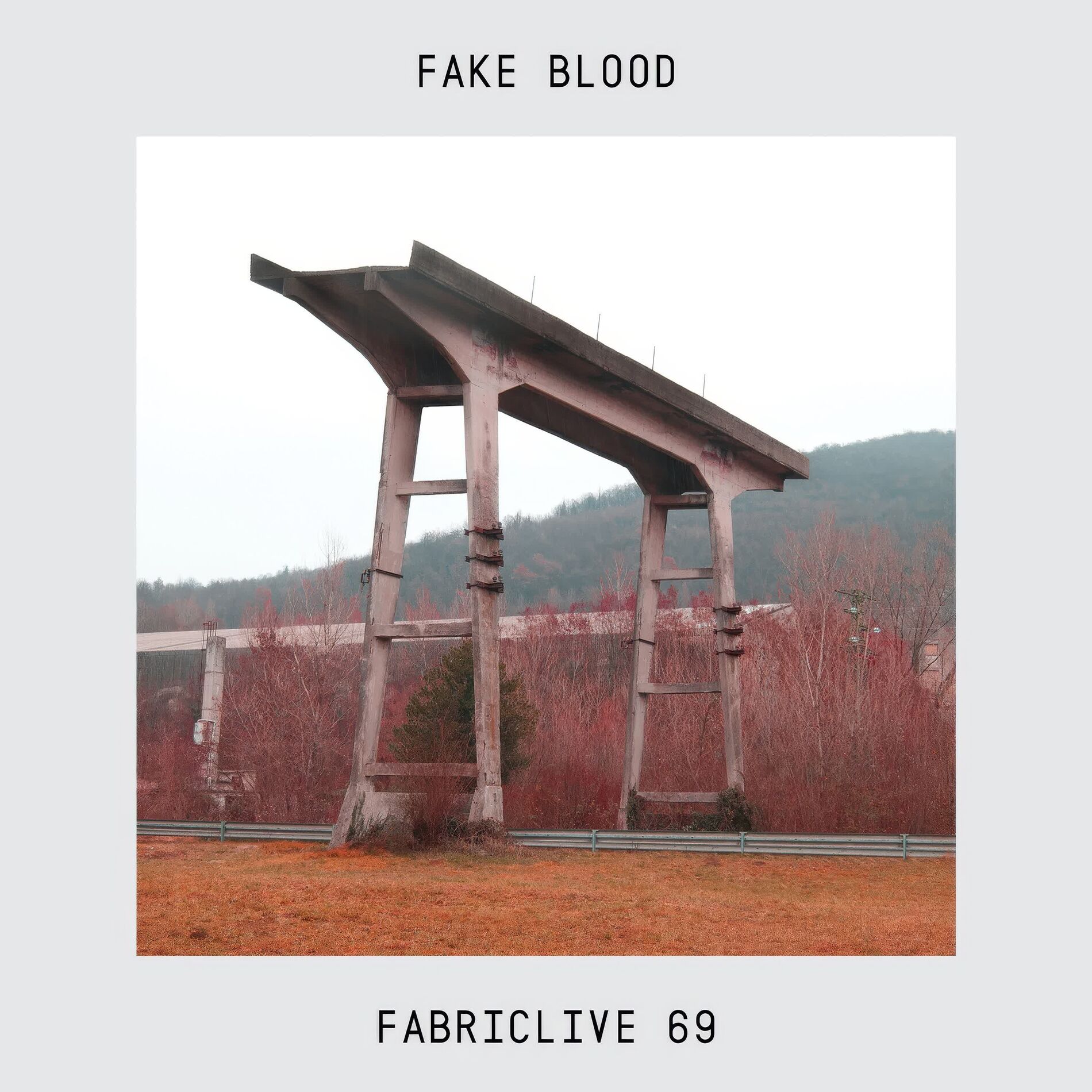 Album cover of FABRICLIVE 69: Fake Blood (DJ Mix)
