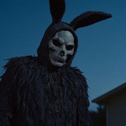 Cover of Donnie Darko